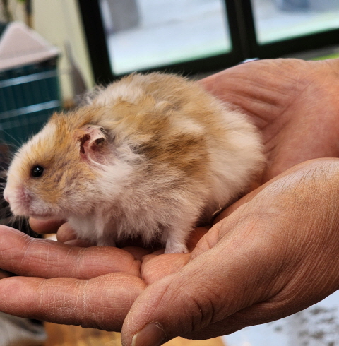 VIP아쿠아 카페 김제점-김제/신풍동 (~11.30)